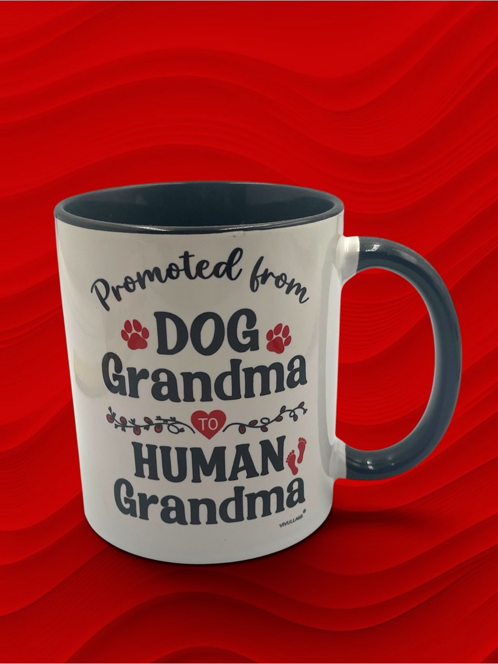 Promoted From Dog Grandma To Human Grandma Mug Pregnancy Announcement Gift 11oz
